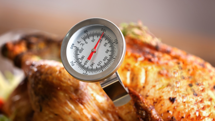 A Guide to Meat Thermometers