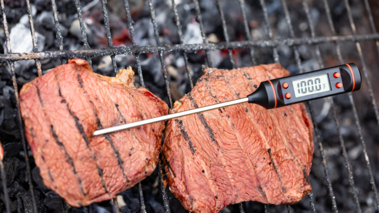 A Guide to Meat Thermometers